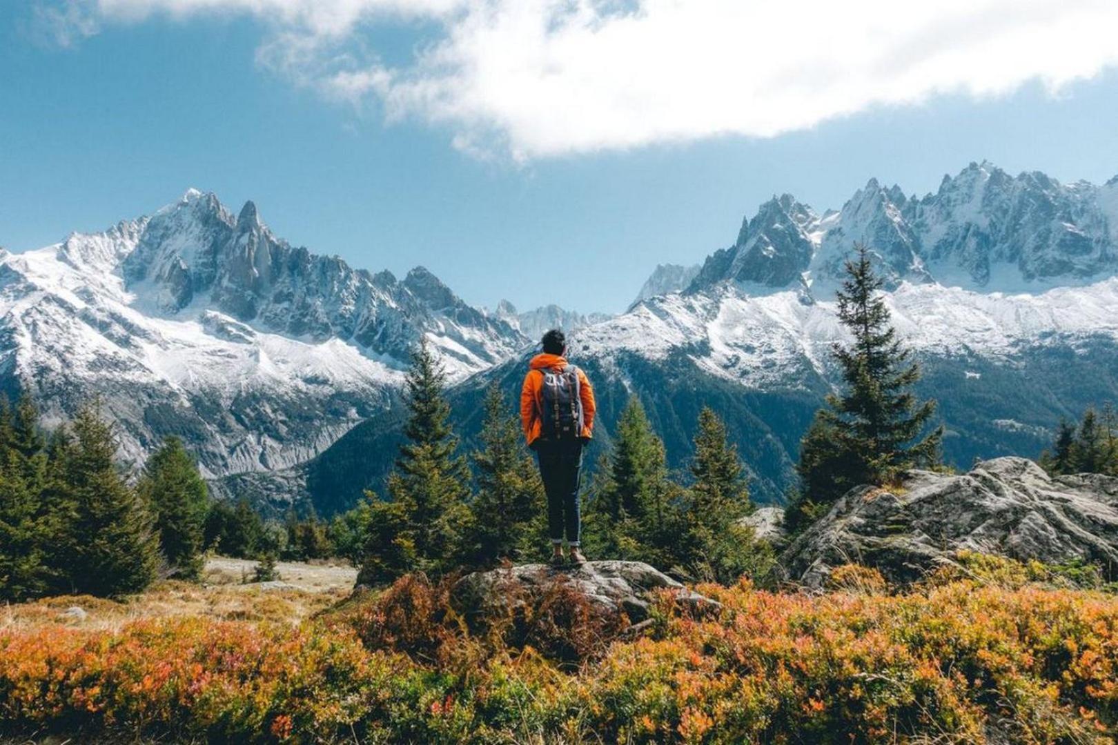 Apartment Majestic 1 - Central Chamonix Haven Mont Blanc エクステリア 写真
